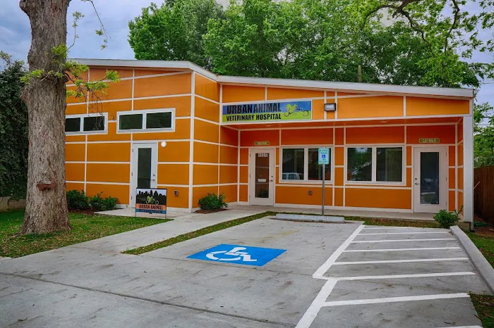 Heights Veterinarian - Urban Animal Veterinary Hospital 2