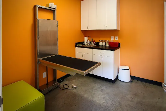 Heights Veterinarian - Urban Animal Veterinary Hospital 8