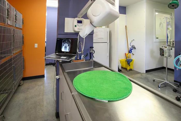 Heights Veterinarian - Urban Animal Veterinary Hospital 9