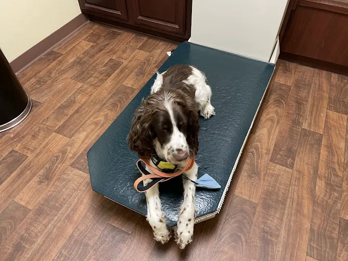 Oak Forest Veterinary Hospital 12
