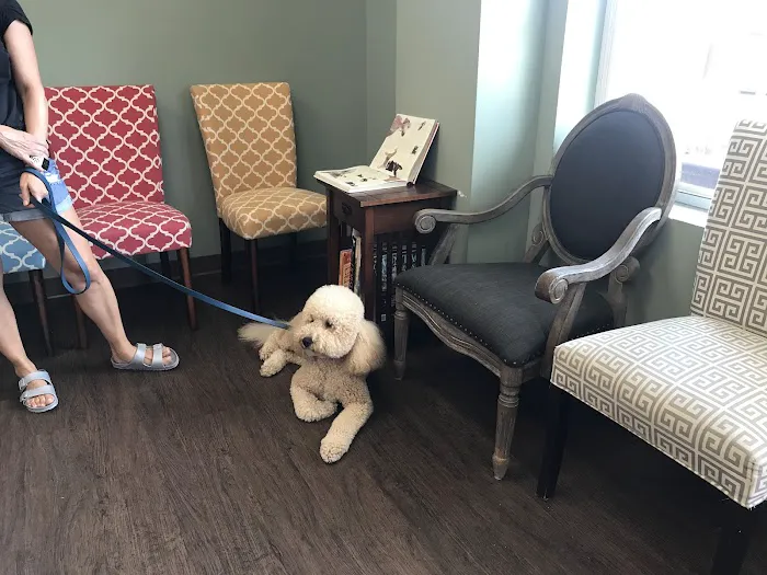 Oak Forest Veterinary Hospital 12