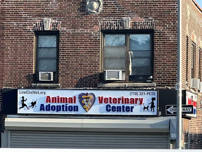 Animal Adoption Veterinary Center 12