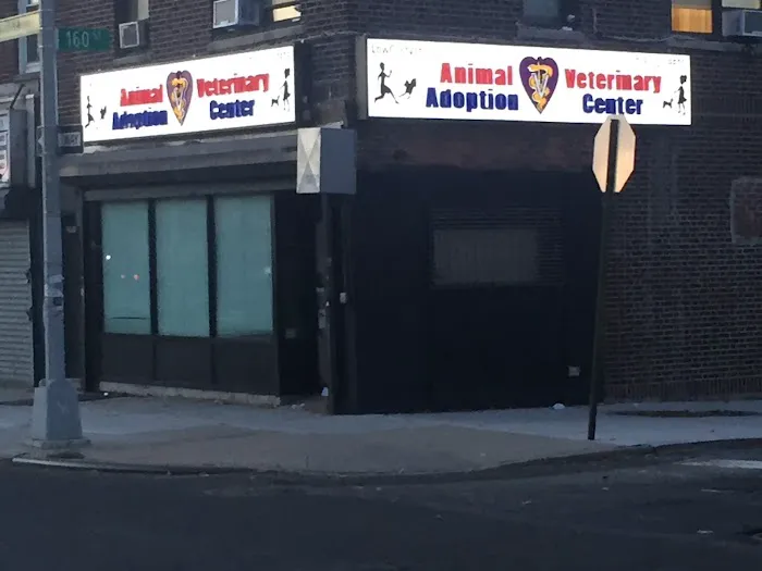Animal Adoption Veterinary Center 12