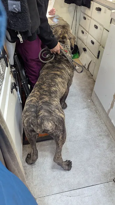 Animal Adoption Veterinary Center 12