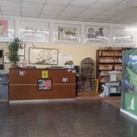 Animal Holistic Care, Dr Mark Haimann ico
