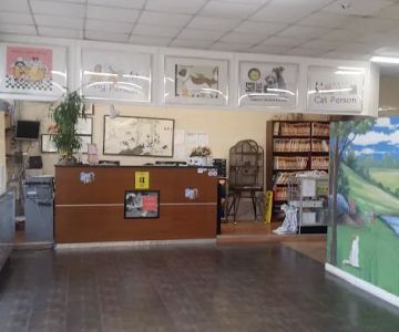 Animal Holistic Care, Dr Mark Haimann