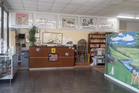 Animal Holistic Care, Dr Mark Haimann