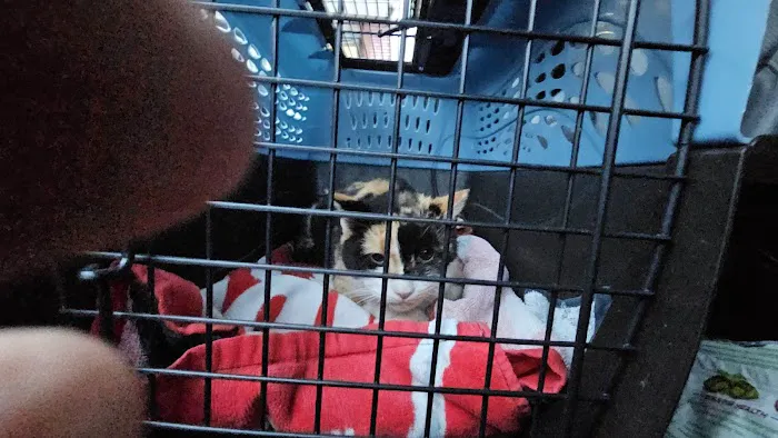 Queens Midway Animal Hospital 1