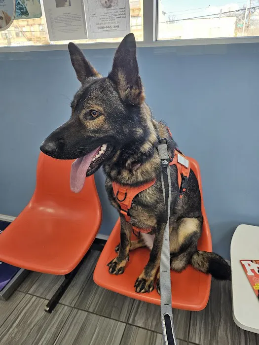 Queens Midway Animal Hospital 8