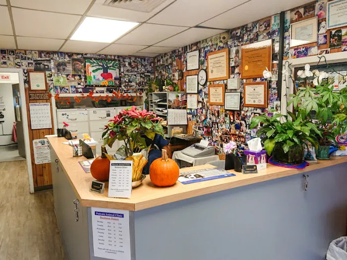 Petcare Animal Clinic 12