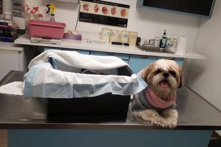 Petcare Animal Clinic