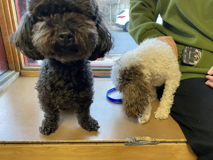 Petcare Animal Clinic 12