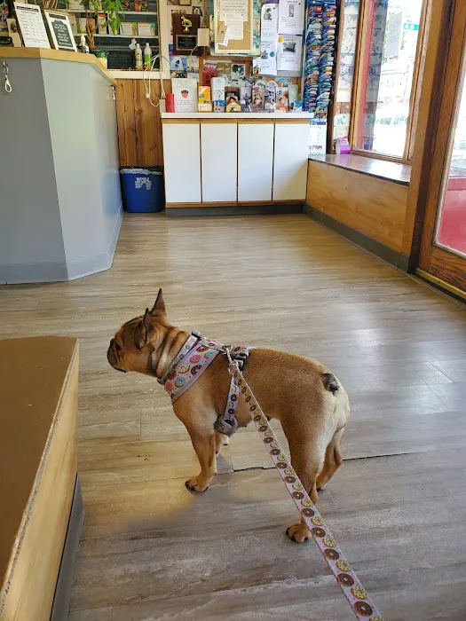 Petcare Animal Clinic 12