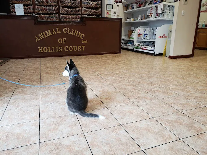 Animal Clinic of Hollis Court 8