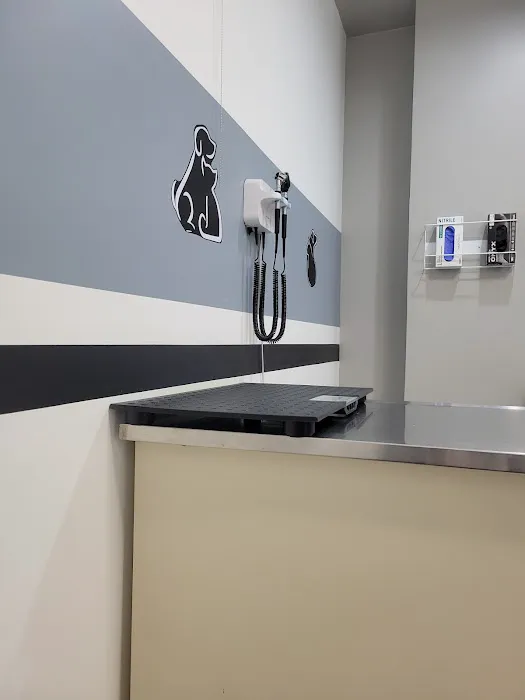 Animal Clinic of Hollis Court 6