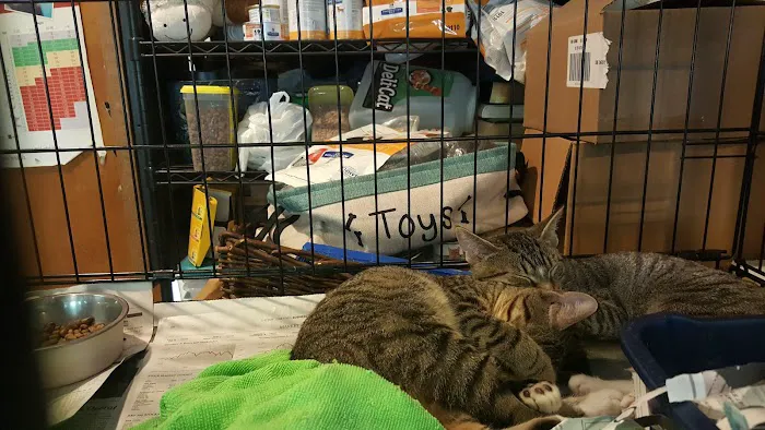 Flushing Veterinary Hospital 4