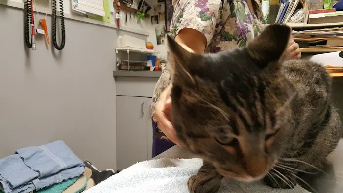 Flushing Veterinary Hospital 1