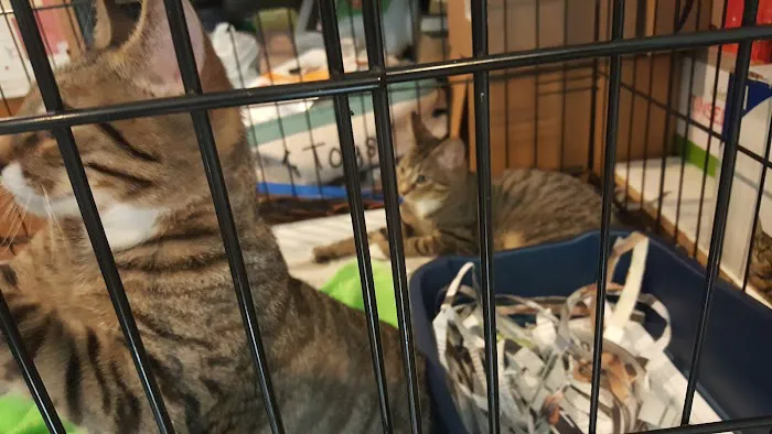 Flushing Veterinary Hospital 5