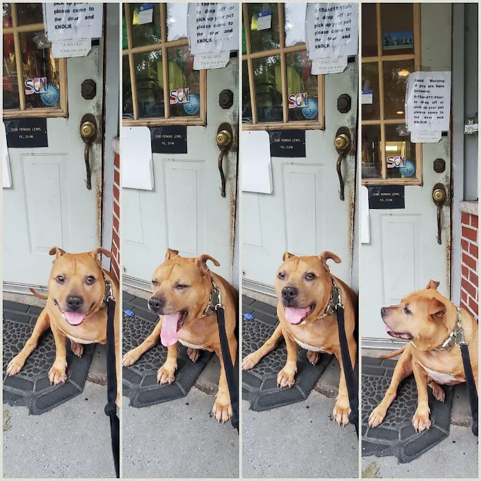 Flushing Veterinary Hospital 10