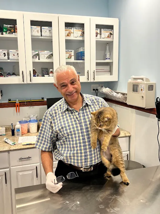 Francis Animal Clinic- Queens 1