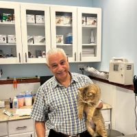 Francis Animal Clinic- Queens ico