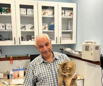 Francis Animal Clinic- Queens