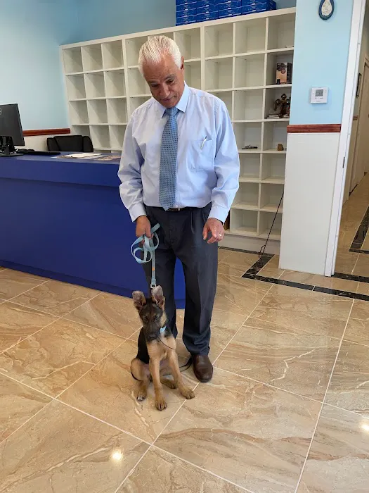 Francis Animal Clinic- Queens 3
