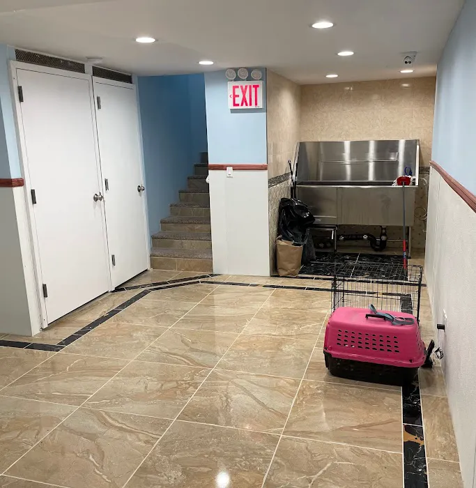Francis Animal Clinic- Queens 9