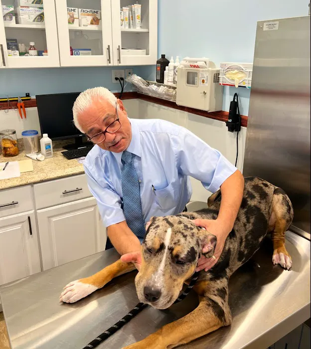 Francis Animal Clinic- Queens 10