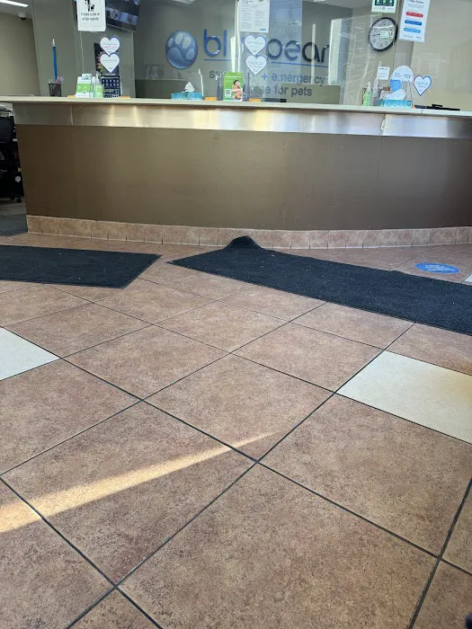 BluePearl Pet Hospital Queens 12