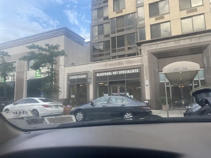 BluePearl Pet Hospital Queens 12