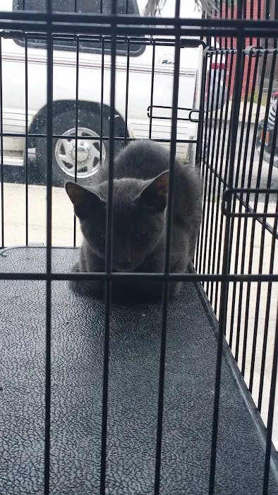 Veterinary Care Group - Forest Hills 1