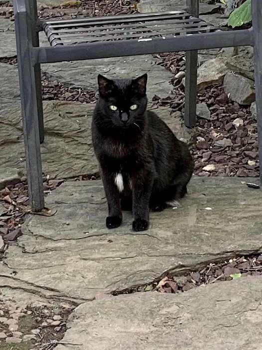 Veterinary Care Group - Forest Hills 8