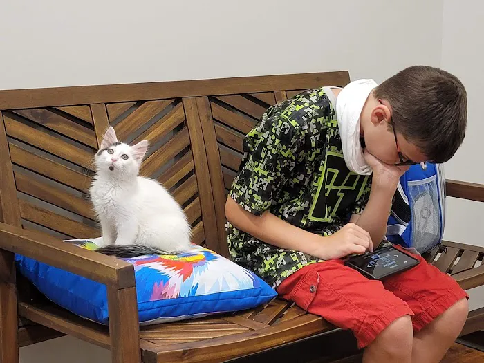 Travelers Rest Animal Hospital: Phillips Bryant DVM 2