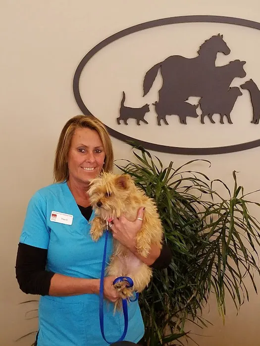 Travelers Rest Animal Hospital: Phillips Bryant DVM 5