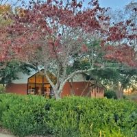 North Greenville Animal Hospital ico