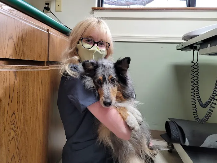 North Greenville Animal Hospital 12