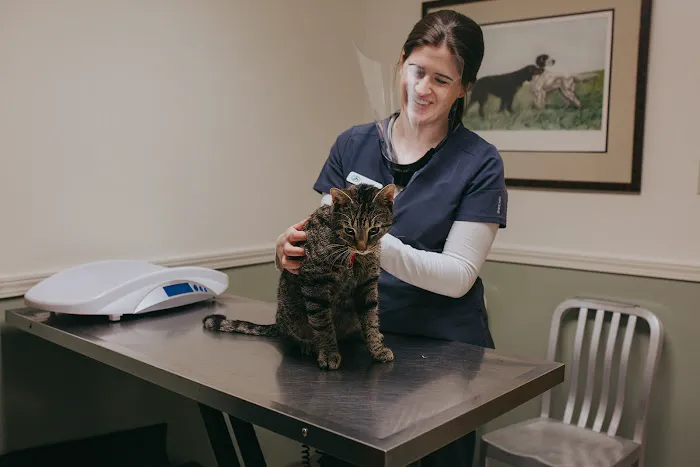 North Greenville Animal Hospital 12