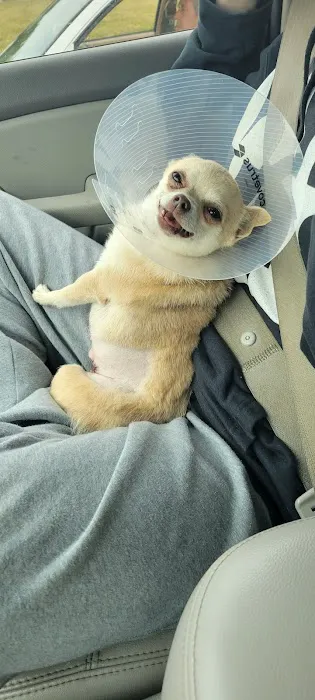 Foothills Veterinary Hospital 12