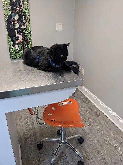 Valley Walk Animal Hospital - Dr. Tony Holtzclaw 12