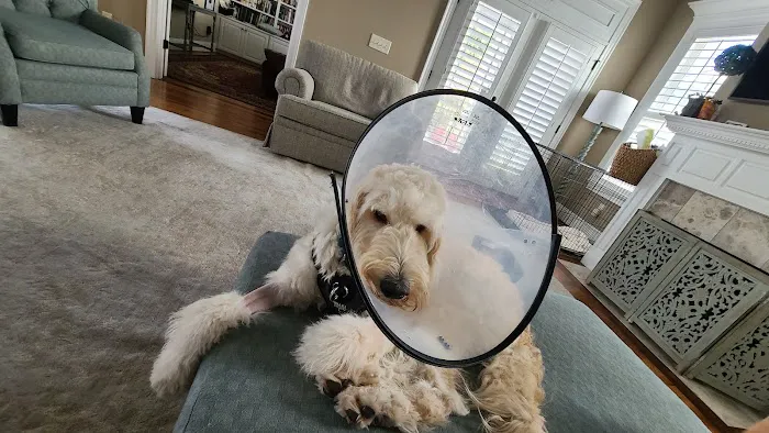 Valley Walk Animal Hospital - Dr. Tony Holtzclaw 12