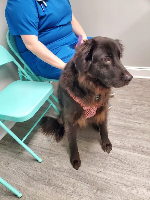 Valley Walk Animal Hospital 12