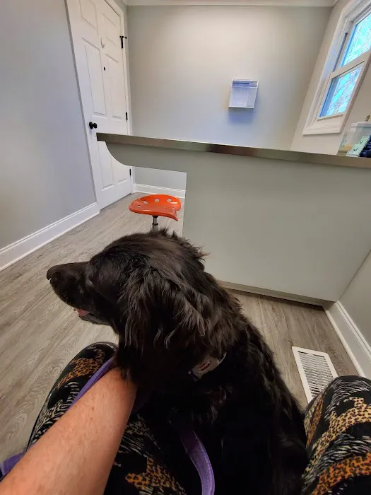 Valley Walk Animal Hospital 12