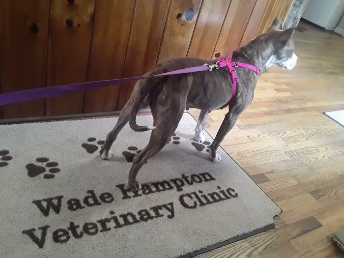 Wade Hampton Veterinary Clinic 12