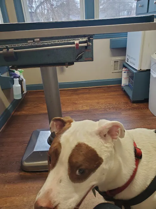 Wade Hampton Veterinary Clinic 12