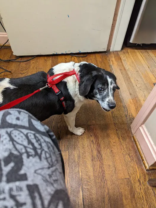 Wade Hampton Veterinary Clinic 12