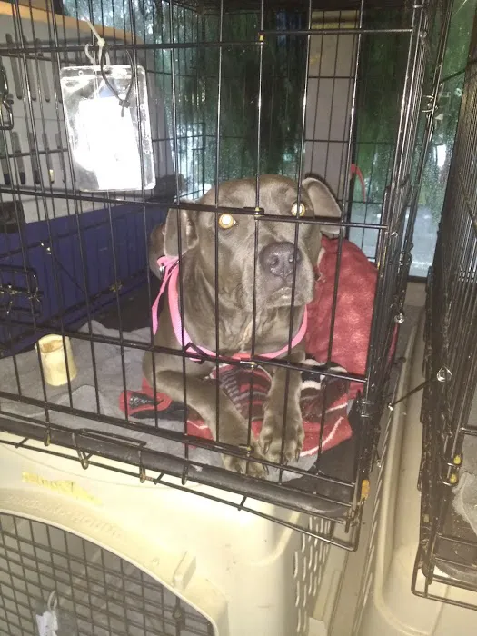 Wade Hampton Veterinary Clinic 12
