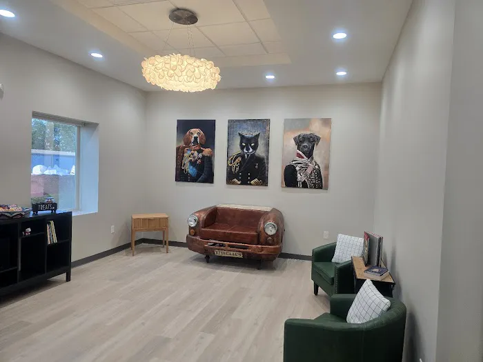 Stone Ave Vet 12