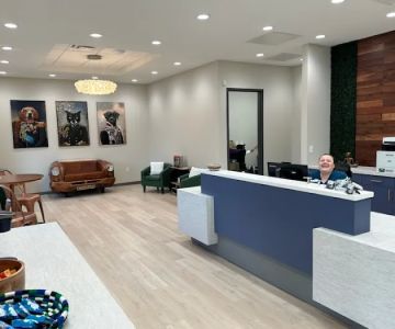 Stone Ave Vet