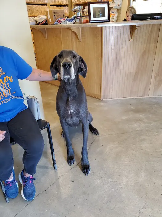 Oak Tree Animal Clinic 4